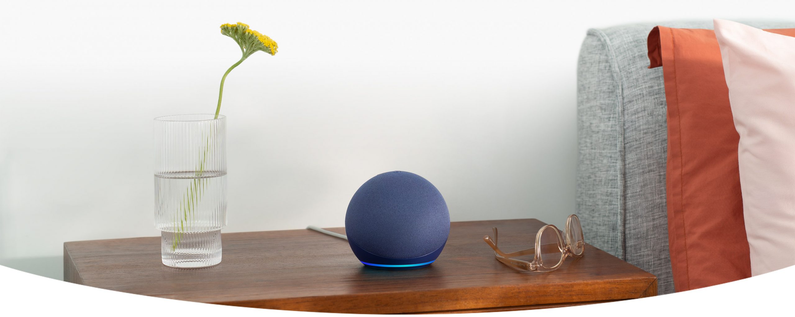 echo dot alexa promo