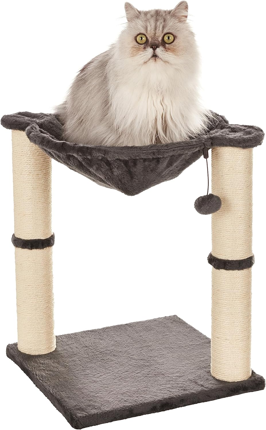 amazon basics arbre chat tour lit hamac griffoir black friday